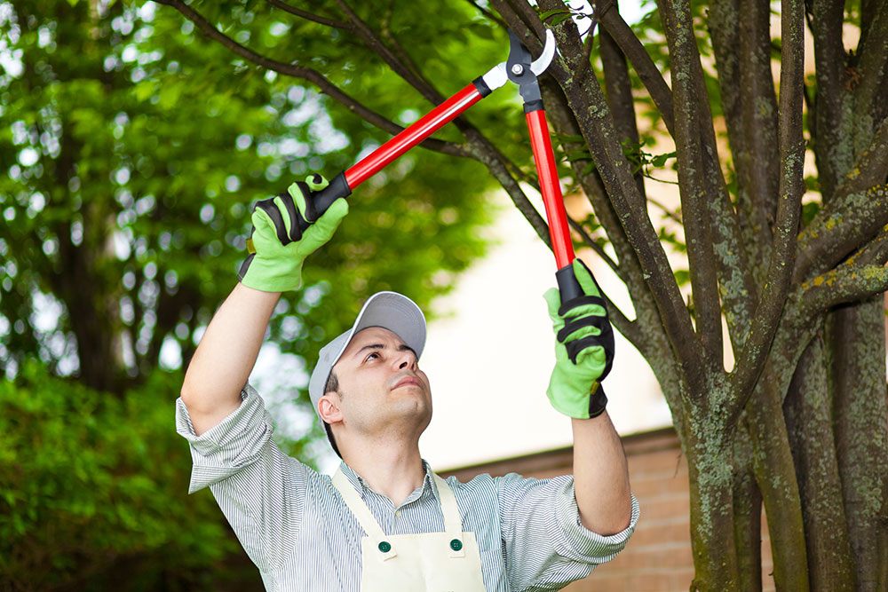 Maintenance