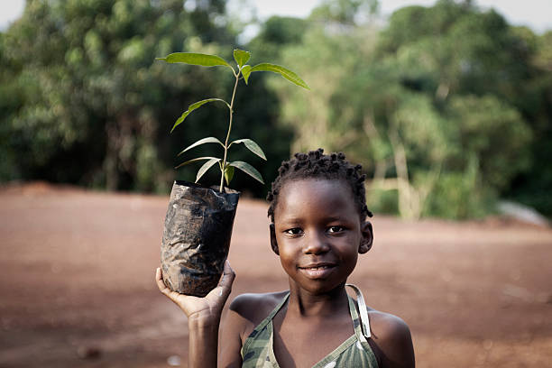 Tree Planting